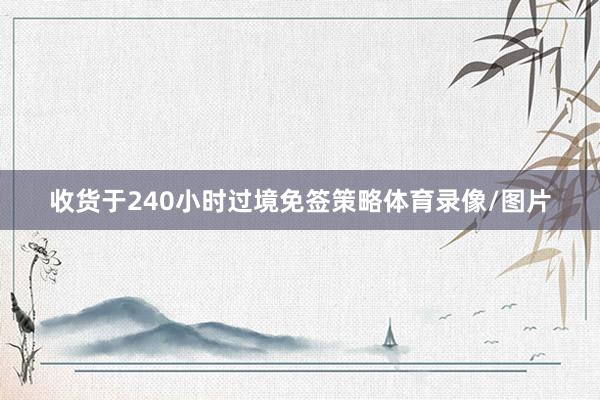 收货于240小时过境免签策略体育录像/图片