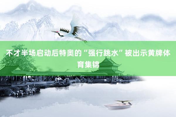 不才半场启动后特奥的“强行跳水”被出示黄牌体育集锦
