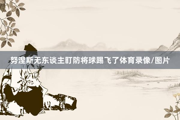 努涅斯无东谈主盯防将球踢飞了体育录像/图片