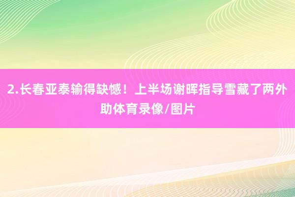 2.长春亚泰输得缺憾！上半场谢晖指导雪藏了两外助体育录像/图片