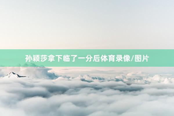 孙颖莎拿下临了一分后体育录像/图片