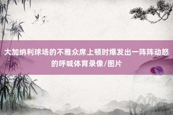大加纳利球场的不雅众席上顿时爆发出一阵阵动怒的呼喊体育录像/图片