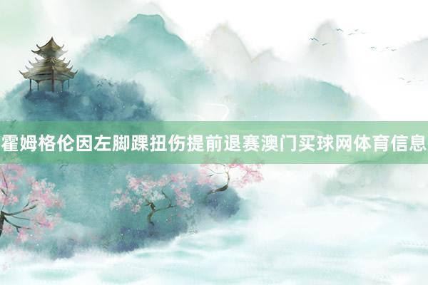 霍姆格伦因左脚踝扭伤提前退赛澳门买球网体育信息