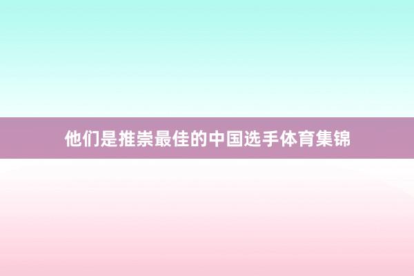 他们是推崇最佳的中国选手体育集锦