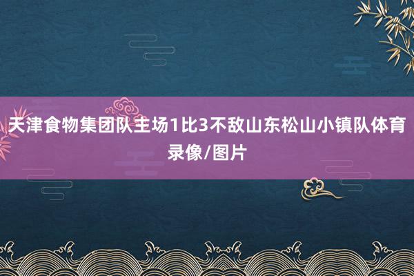 天津食物集团队主场1比3不敌山东松山小镇队体育录像/图片